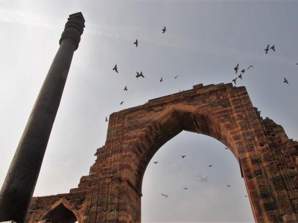 Golden Triangle & tigers in India