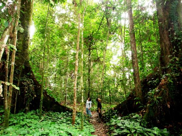 Sabah & Sarawak vacation in Borneo