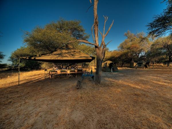 Botswana safari vacation on a shoestring