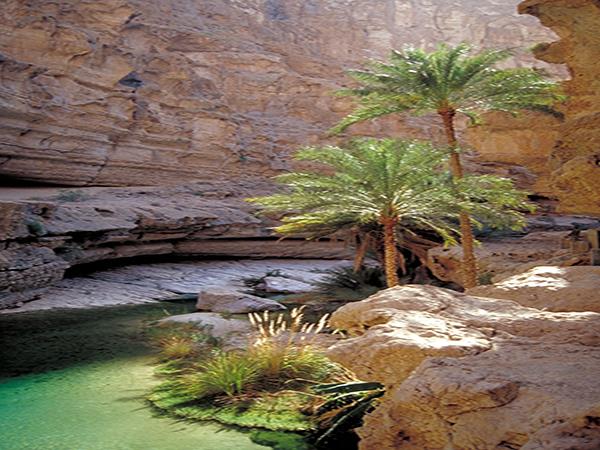 Camping tours to Oman
