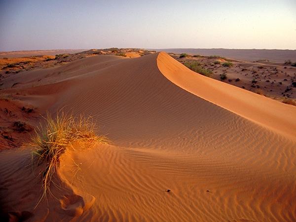Camping tours to Oman