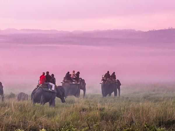 Assam and Nagaland photography tour, India