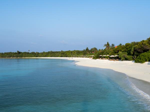 Maldives boutique eco resort, local island