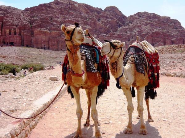 Short break to Petra, Jordan