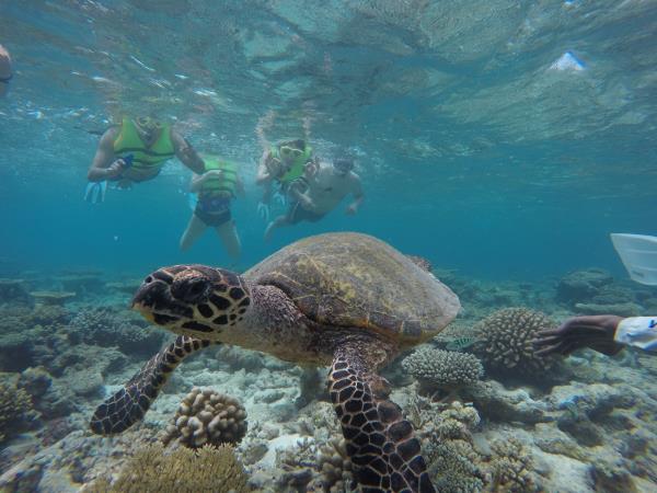Maldives holiday, local accommodation
