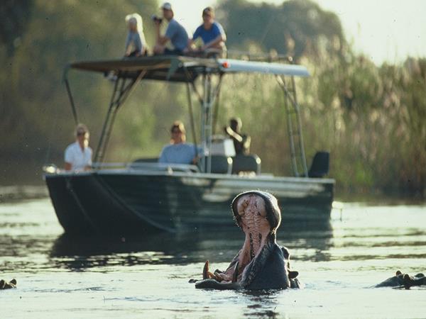 Zambia safari holiday, Xmas & New Year