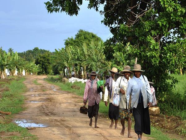 Sri Lanka highlights tour