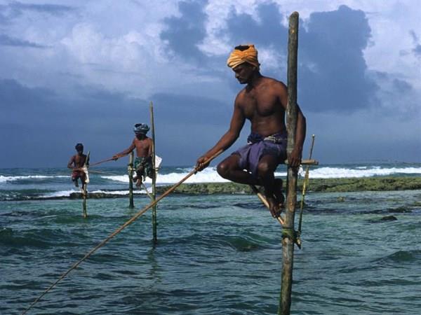 Sri Lanka highlights tour