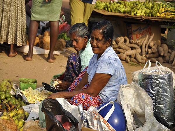 Sri Lanka highlights tour