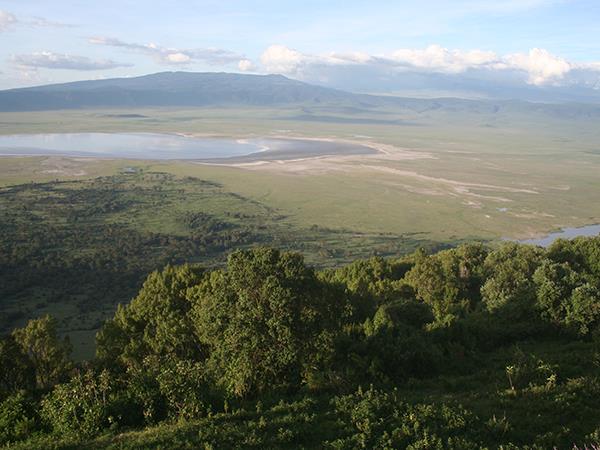 Tanzania  luxury safari