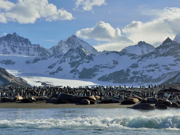 Antarctica small ship cruises