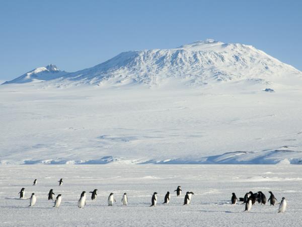 Antarctica semi-circumnavigation cruise