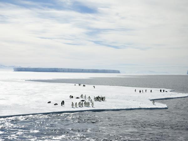 Antarctica semi-circumnavigation cruise
