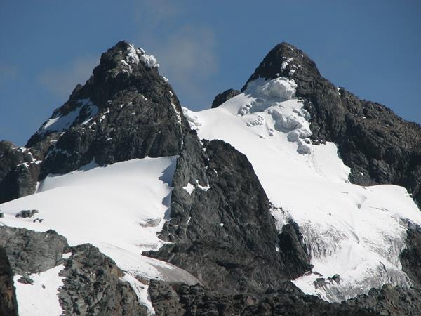 Gorilla and Rwenzori expedition in Uganda