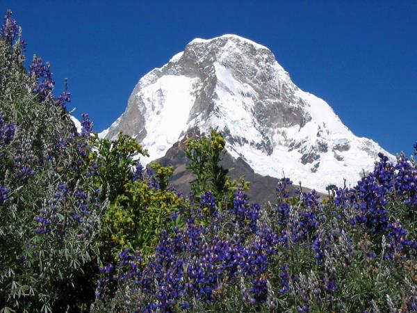 Peru tailor made vacation, highlights