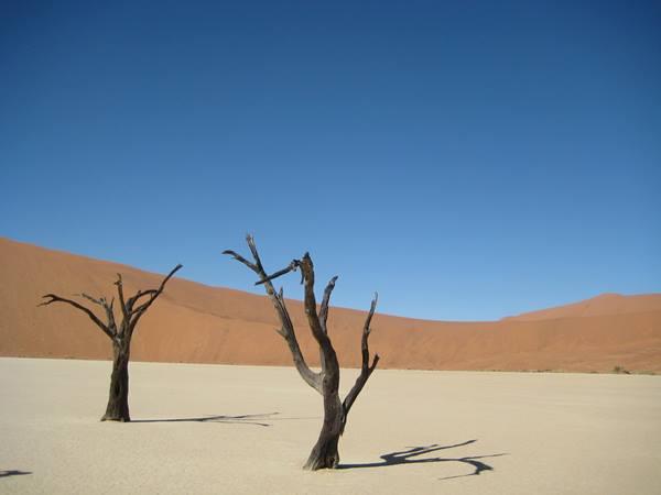 Namibia self drive safari