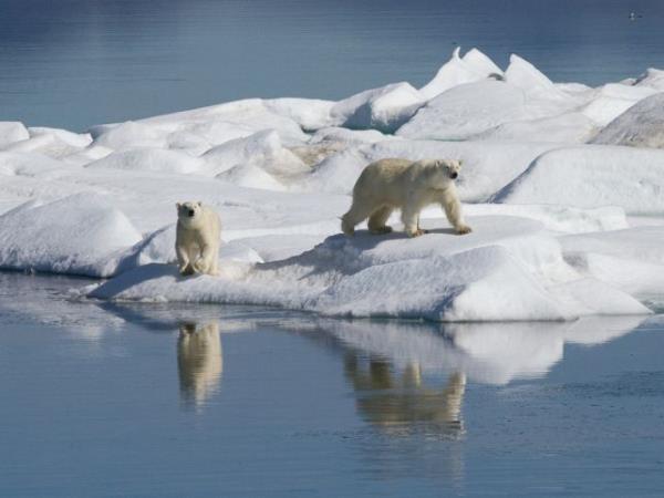 Chukotka and Wrangel Island cruise, Russia