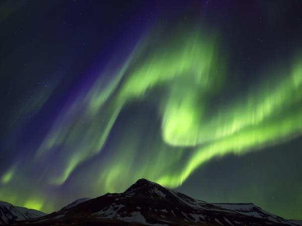 Northern Lights and wildlife vacation in Swedish Lapland