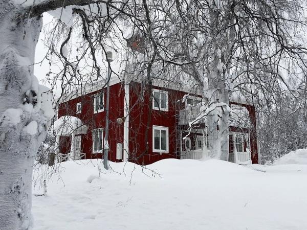 Northern Lights and wildlife vacation in Swedish Lapland