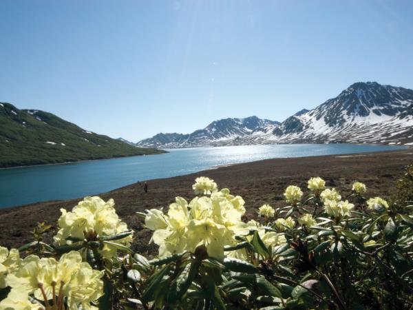 Kamchatka & the Commander Islands cruise