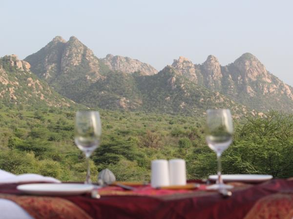 India wildlife and culture tour, Rajasthan