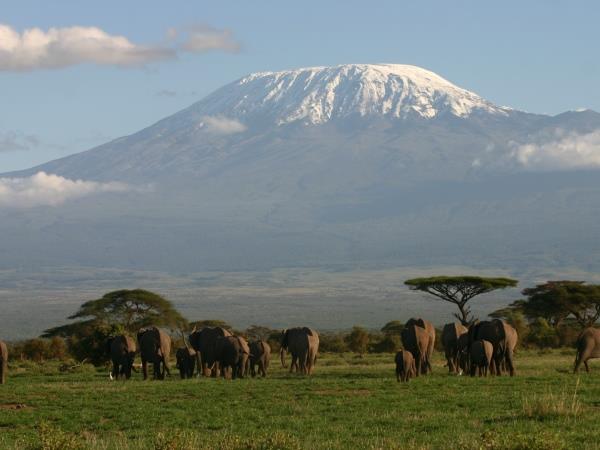 Kenya 9 day Safari, tailor made