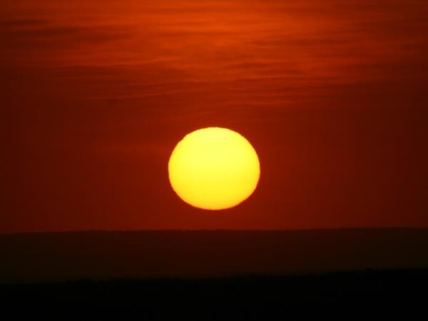 Kenya 9 day Safari, tailor made
