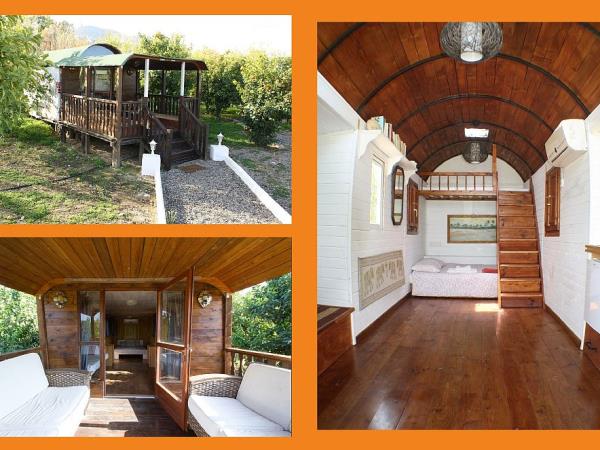 Self catering accommodation nr Malaga, Spain