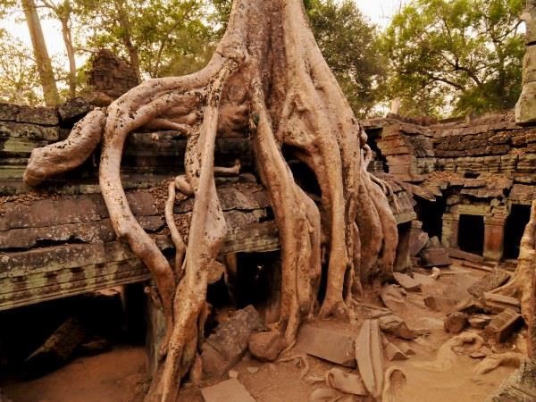 Vietnam and Cambodia tour, along the mighty Mekong