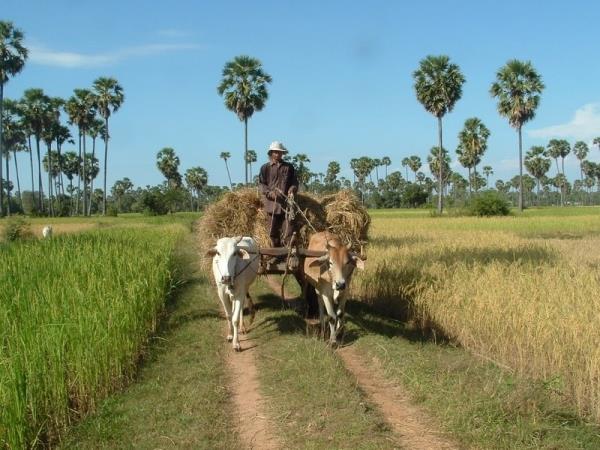 Vietnam and Cambodia tour, along the mighty Mekong