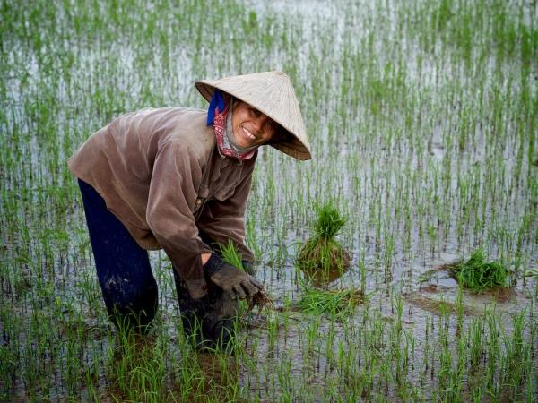 Vietnam and Cambodia tour, along the mighty Mekong