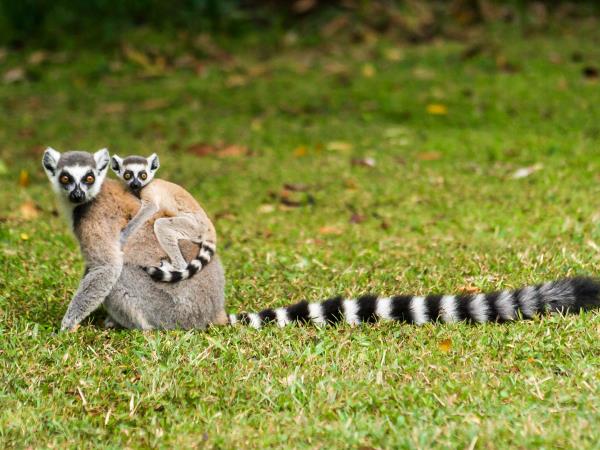 Madagascar vacation, overland adventure