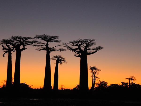 Madagascar vacation, overland adventure