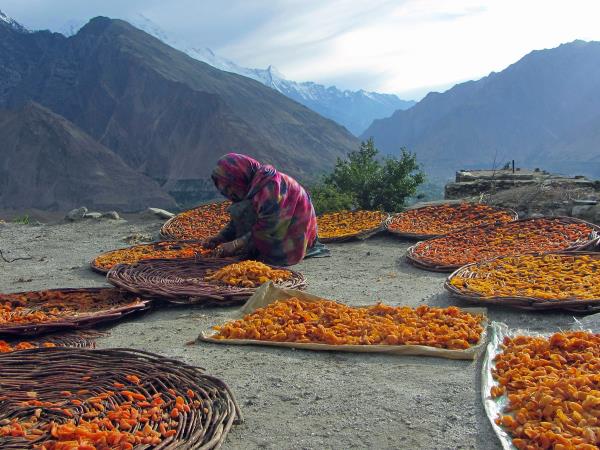Central Asia vacation, Kyrgyzstan, China & Pakistan