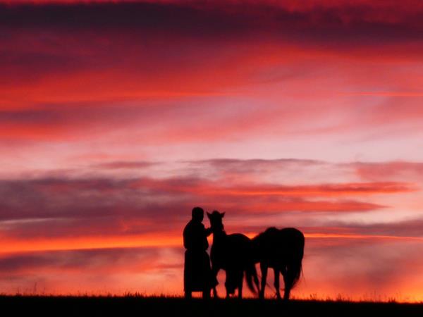 Mongolia tour, land of the great Khan