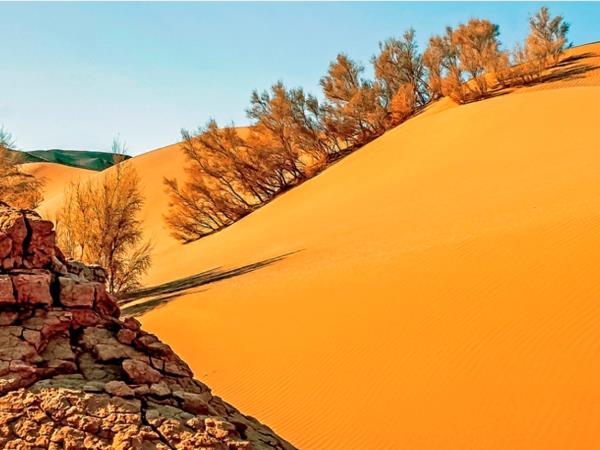 Mongolia tour, land of the great Khan