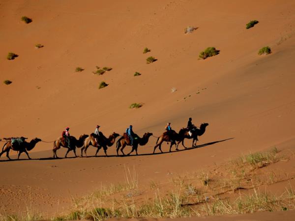 Mongolia tour, land of the great Khan