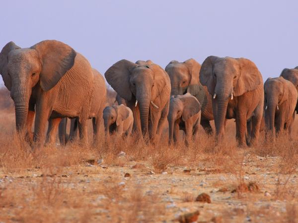 Vacation to Namibia