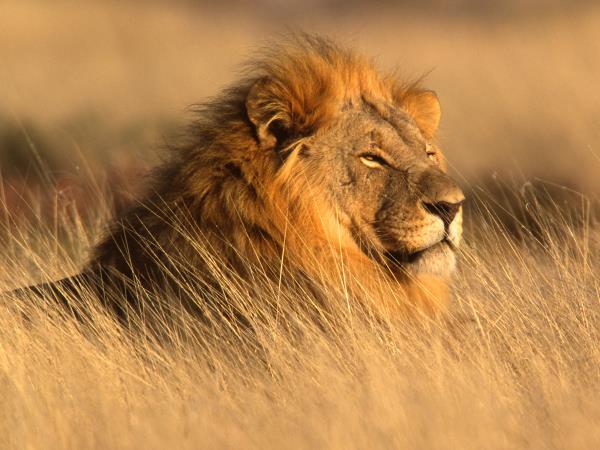 Vacation to Namibia