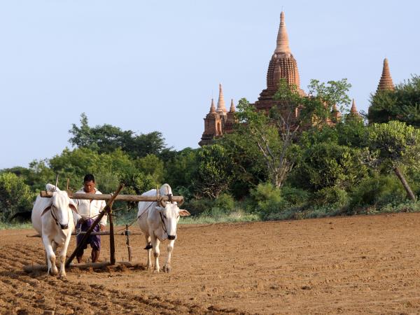 Burma cultural tour, Yangon and Mandalay