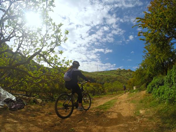 Jordan cycling tour