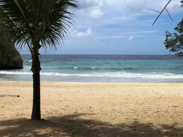 Jamaica tour, Jamaica Discovery