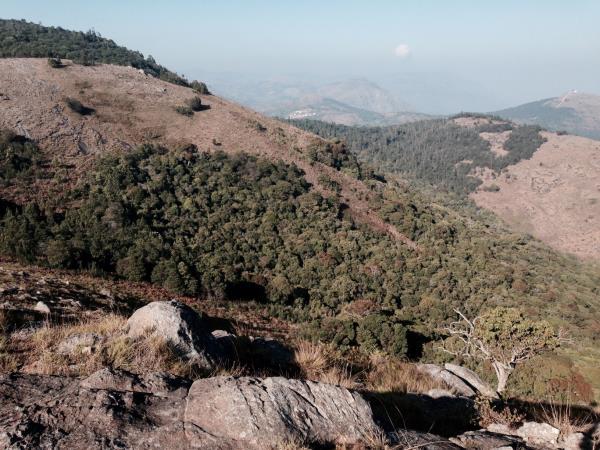 Ayurvedic cooking vacation in Southern India