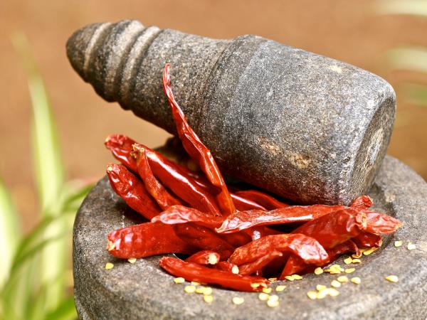 Ayurvedic cooking vacation in Southern India