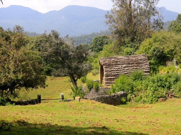 Ayurvedic cooking vacation in Southern India