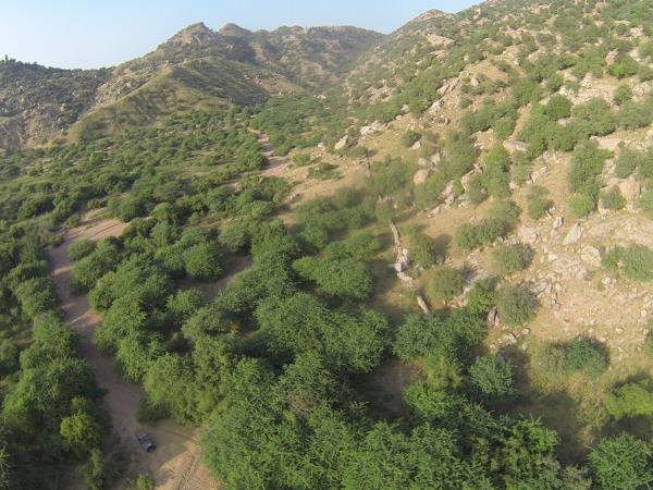 India wildlife and culture tour, Rajasthan