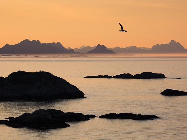 Lofoten Islands summer photography vacation, Norway