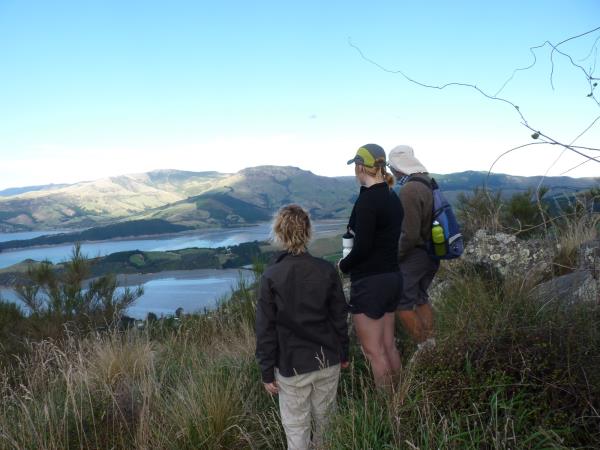 New Zealand self drive walking vacation