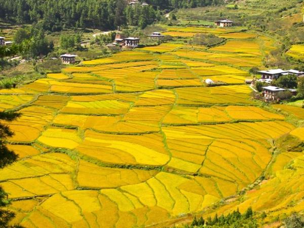 Bhutan walking vacations