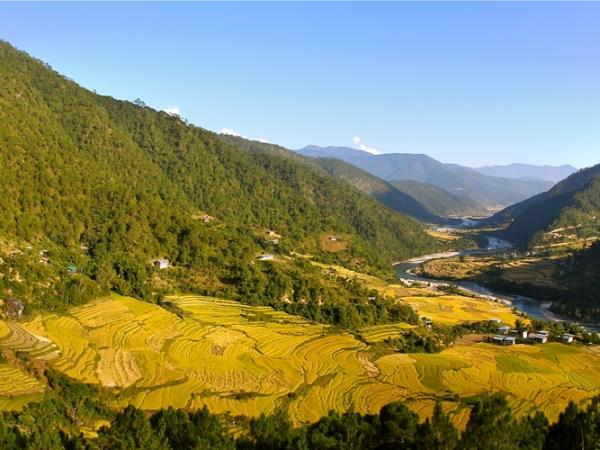 Bhutan walking vacations
